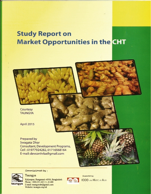 Study Report on Market Opportunities in the cht